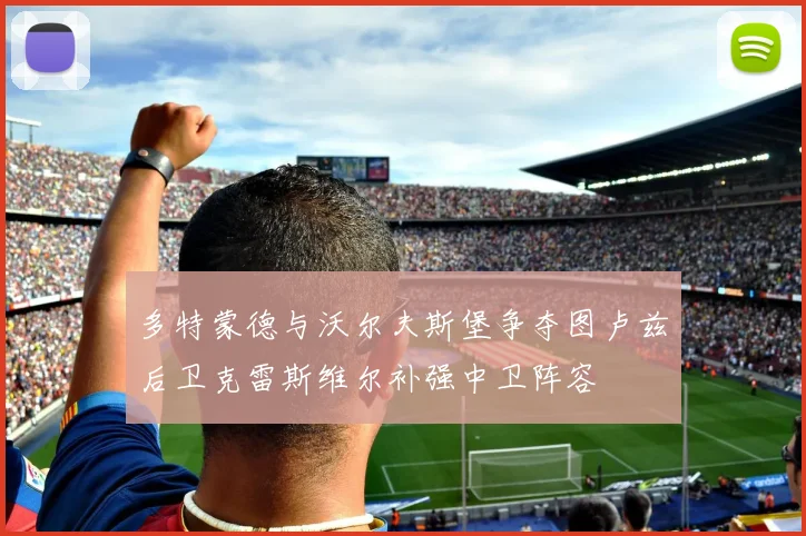 多特蒙德与沃尔夫斯堡争夺图卢兹后卫克雷斯维尔补强中卫阵容