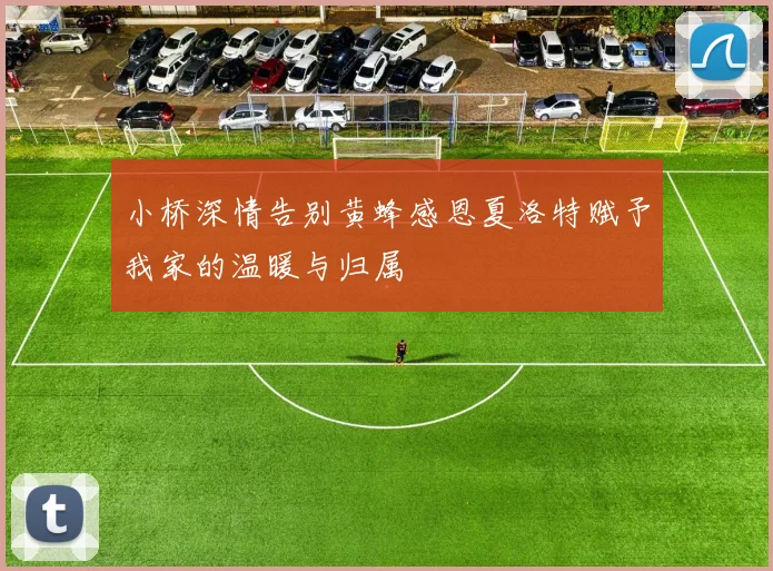 小桥深情告别黄蜂感恩夏洛特赋予我家的温暖与归属