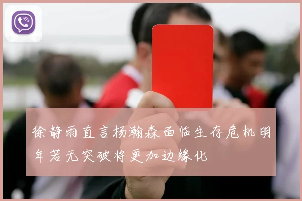 徐静雨直言杨瀚森面临生存危机明年若无突破将更加边缘化
